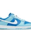 Nike Dunk Low Retro QS 'Argon' 2022 -Sneaker Haven Shop 1 206