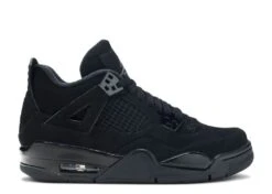 Air Jordan 4 Retro GS 'Black Cat' 2020