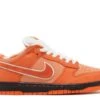 Nike Concepts X Dunk Low SB 'Orange Lobster' Special Box -Sneaker Haven Shop 1 56