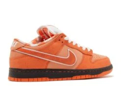 Nike Concepts X Dunk Low SB 'Orange Lobster' Special Box -Sneaker Haven Shop 3 28